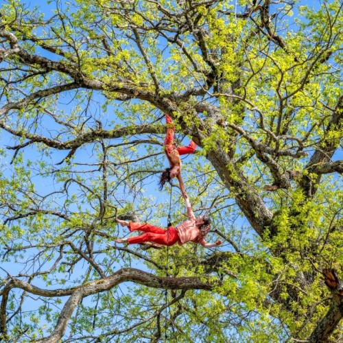 Festival MArue, les artistes reprennent la rue