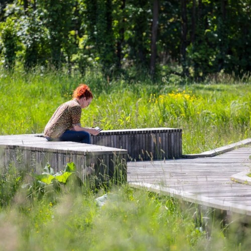 Rennes : une exposition photographique retrace l'évolution des Prairies Saint-Martin