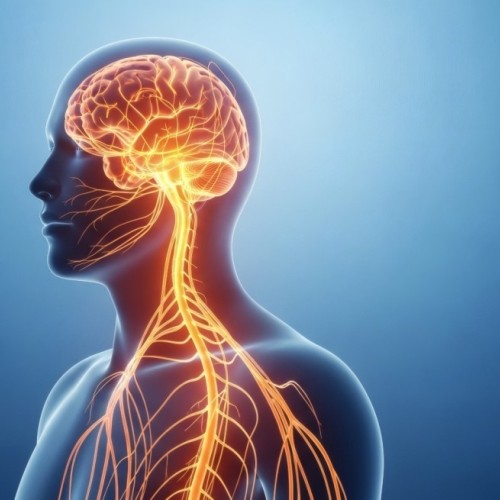 C'est parti pour la Semaine du cerveau à Marseille !