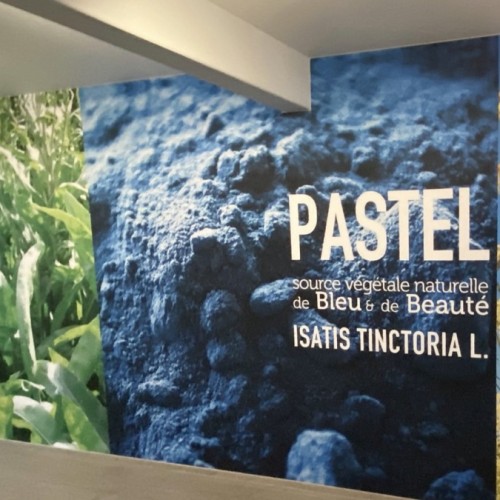 Le muséum du pastel, une expérience unique aux portes de Toulouse