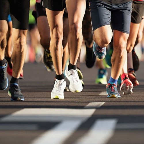 Grenoble : L'agenda sportif du 6 au 8 mars 2026