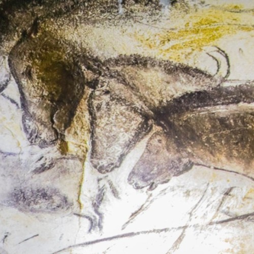 Près de Grenoble : une immersion dans la grotte Chauvet 