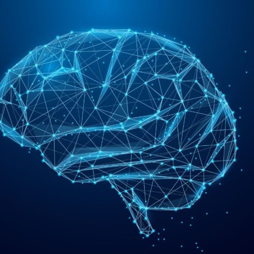 Booster son cerveau à Meylan (près de Grenoble)