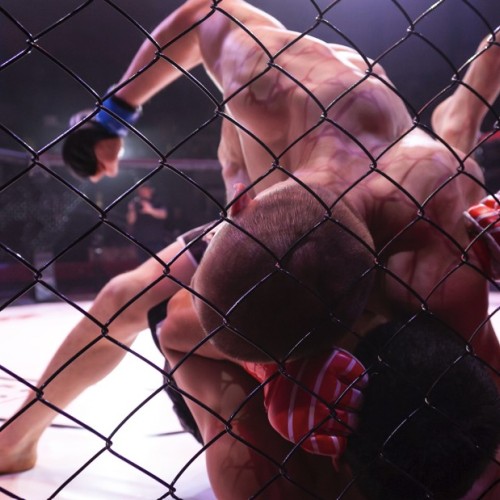 Du MMA au Zénith de Strasbourg