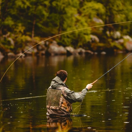 Aller à la pêche au Vox