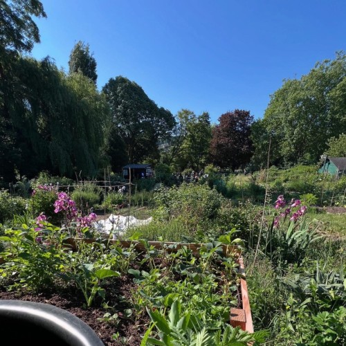 Près de Rouen, un jardin partagé communautaire 