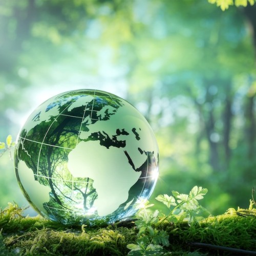 Biodiversité : Un salon à Montpellier pour réinventer l’avenir