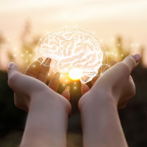 22 manifestations pour mieux comprendre le cerveau