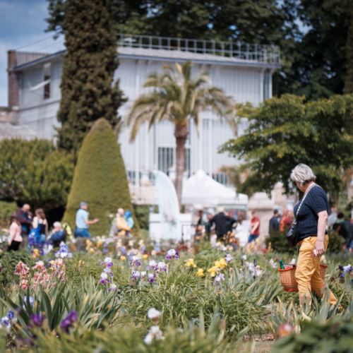 Un grand marché festif pour troquer ses plantes à Rouen