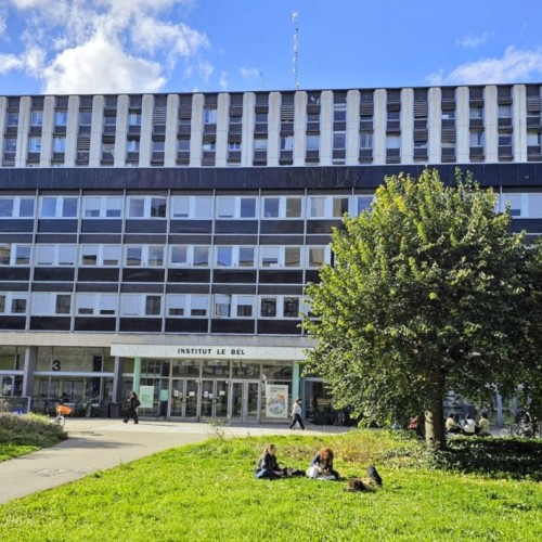 La bonne idée : Un congé menstruel pour étudiants à l’Unistra 