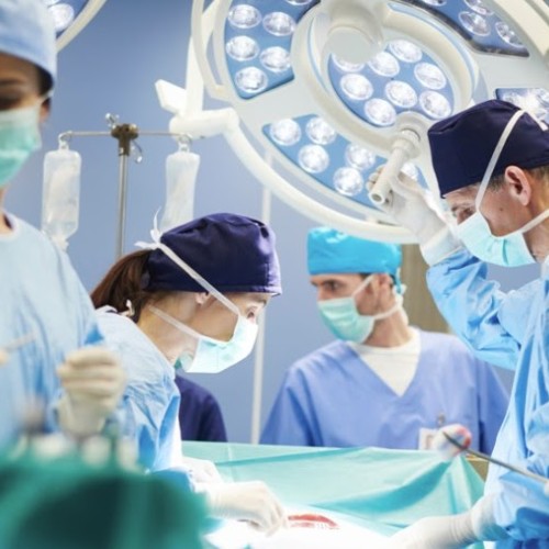 La fac de médecine de Strasbourg pour le don d’organes 