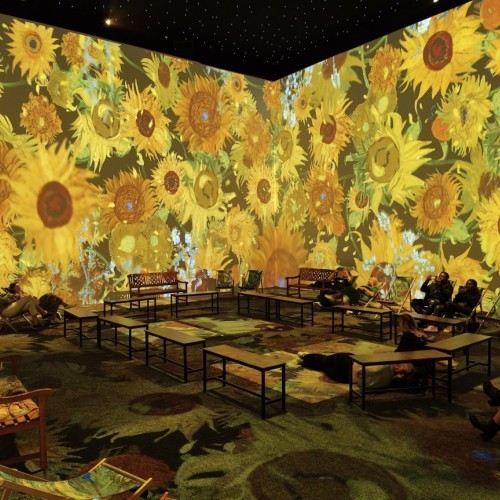 L'univers de Van Gogh se dévoile à Nantes