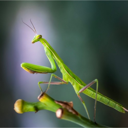 Une exposition photo sur les saisons à découvrir près de Clermont-Ferrand