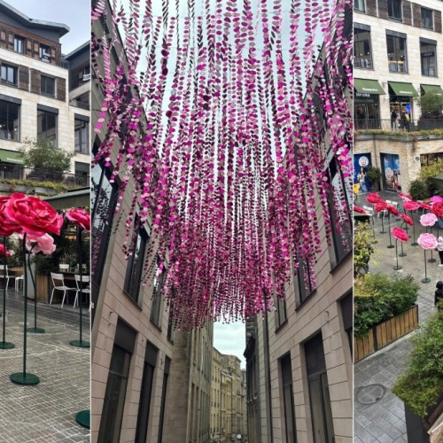 Bordeaux : la Promenade Sainte-Catherine se pare de rose