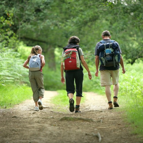Des balades inclusives pour découvrir la nature autrement à Clermont-Ferrand