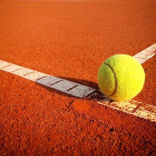 L'Agenda sportif du 16 au 18 avril 2026 à Rouen