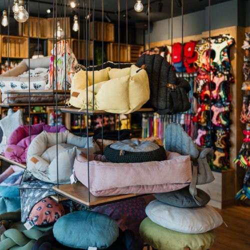 Maxi Zoo ouvre un nouveau magasin à Clermont-Ferrand