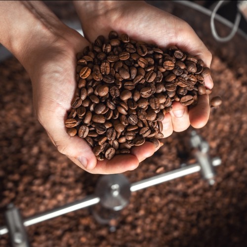 Un café d’exception torréfié dans la métropole