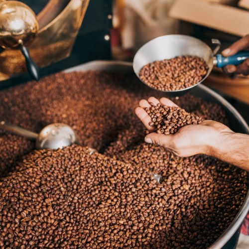 Lyon Coffee Fest 2026 : un espresso allongé pour toute la ville
