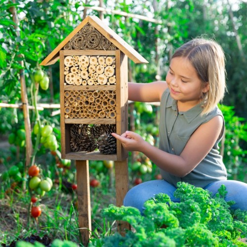 Fabriquer un abri pour la biodiversité près de Rouen