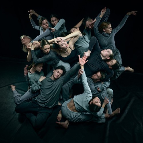 Le festival Go.Élans déploie ses ailes