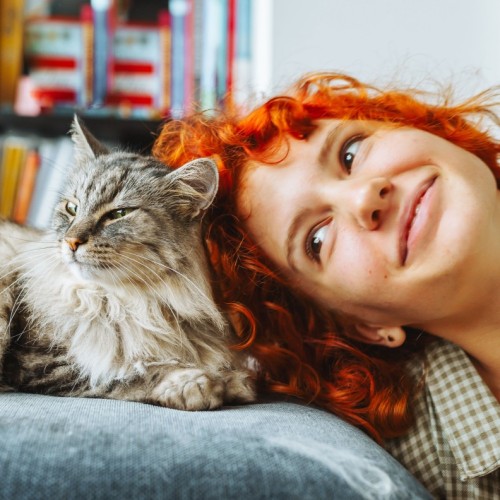 Pouvoir d'achat : plus d'un quart des Français s'est déjà privé pour son animal