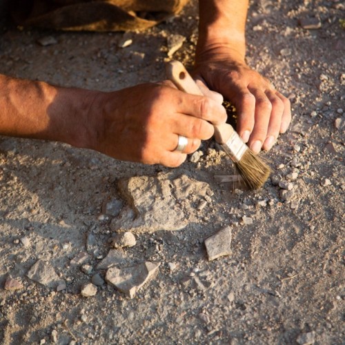 Toulon : une journée dédiée à l'archéologie