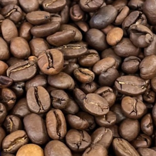 Les coulisses : on a visité l'usine des Cafés Méo à La Madeleine