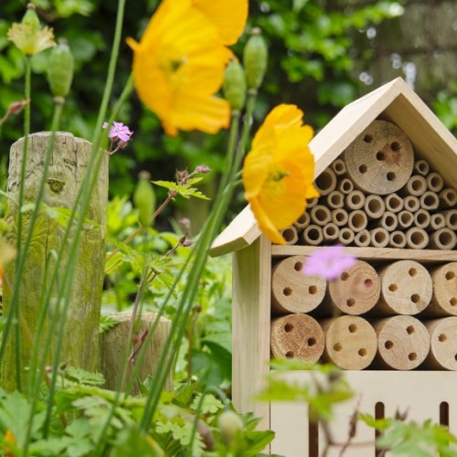 Des jardins strasbourgeois bien vivants