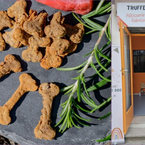 Près de Toulon, des friandises pour chiens et chats sensibles… et gourmets