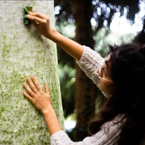 Chloé Stenger : « raconter la forêt en centre-ville »
