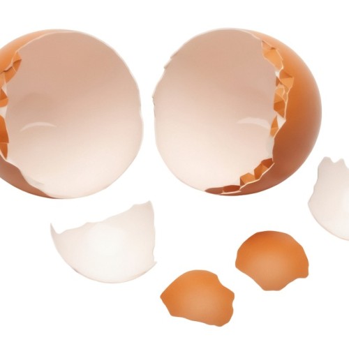 Des coquilles d’œufs qui valent de l’or