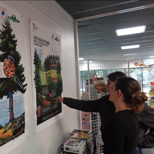 Une exposition près de Bordeaux sur l'évolution de la forêt face au changement climatique