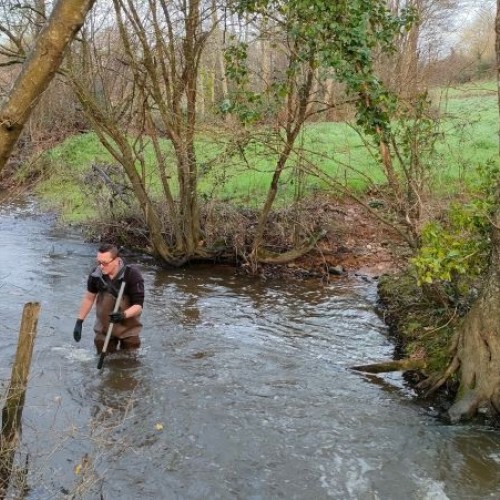 Le brochet, une espèce repère en Loire-Atlantique