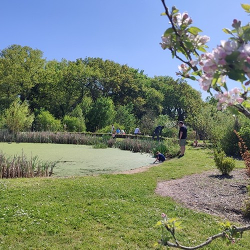 Et si vous enquêtiez à la mare au Jardiversité près de Nantes ?