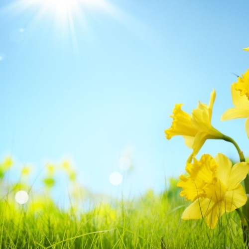 Le Printemps de la MNE² démarre à Grenoble