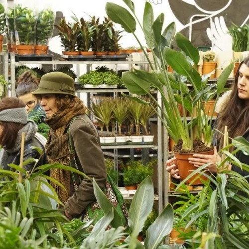 Grande vente de plantes durant trois jours