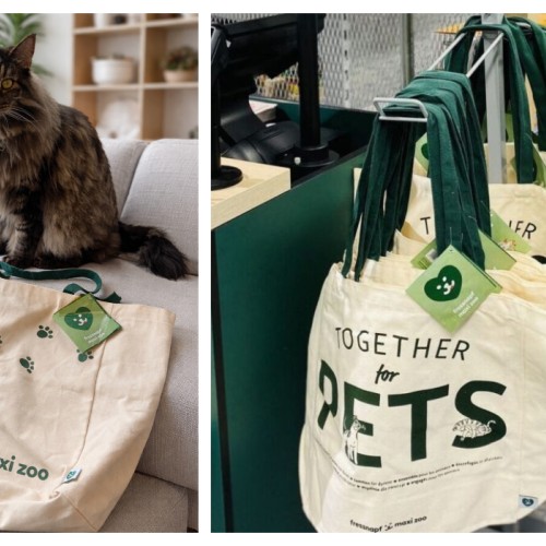 Soutenir la cause animale dans les magasins nantais Maxi Zoo
