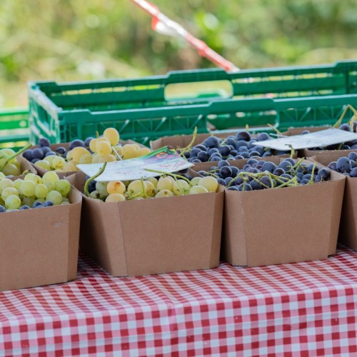 Un marché du producteur au consommateur à Marseille