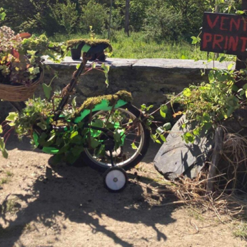 La vente de printemps fait son retour au Grand Blottereau à Nantes