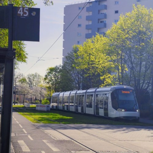 Le tram B interrompu entre Ostwald et Lingolsheim