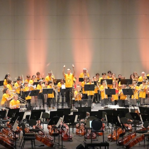 Les amateurs de l'Opéra Orchestre au Chai du Terral