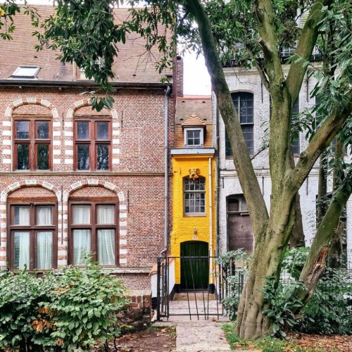 Le saviez-vous : la plus petite maison de Lille n'en est pas une