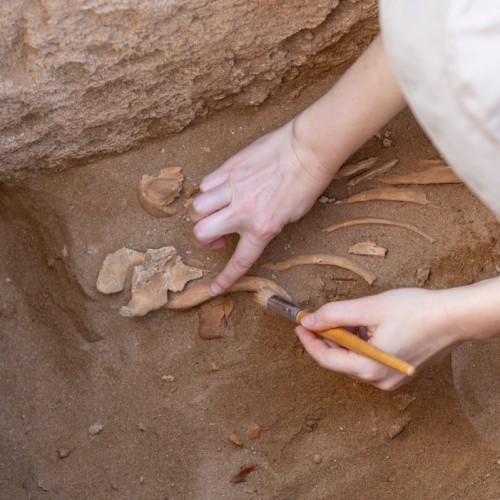 Un cycle de conférences sur l'archéologie à Paris