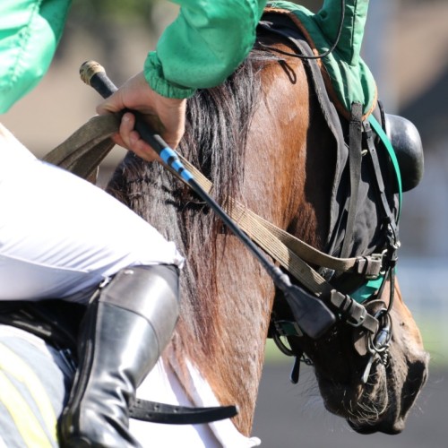 Le Grand National du Trot fait étape à Marcq-en-Barœul