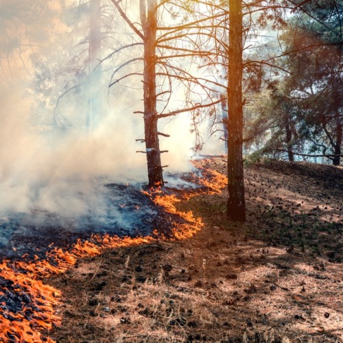 Les enfants informés sur le risque incendie