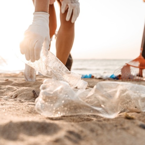 Participer à une opération de ramassage de déchets à Toulon et dans les communes voisines