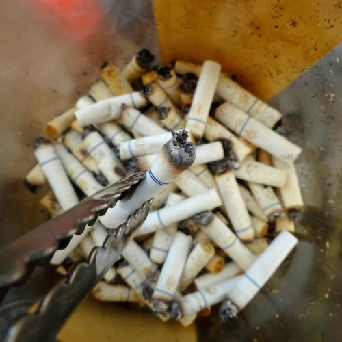 Rennes : une opération ramassage de mégots dans le quartier Bréquigny