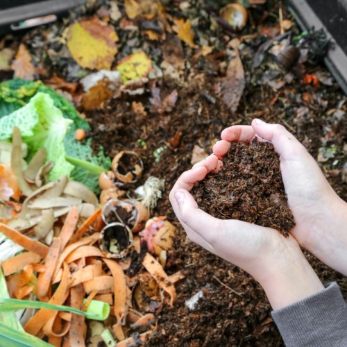 Compost : une conférence pour comprendre le modèle lyonnais