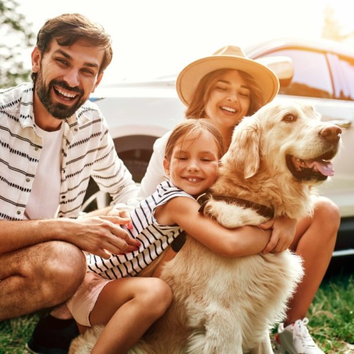Vacances en France avec son chien : fini la galère !
